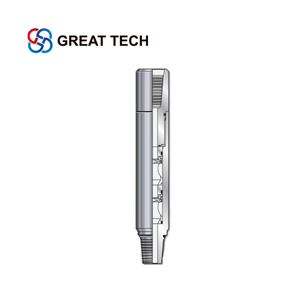 Dual  Back  Pressure Valve